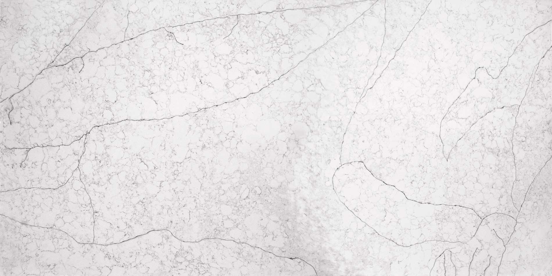 HIMALAYAN WHITE